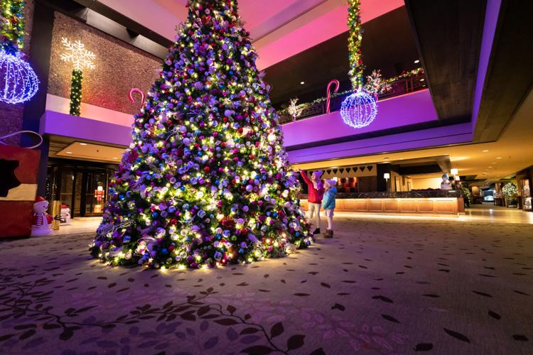 Grand Geneva illumination ceremony