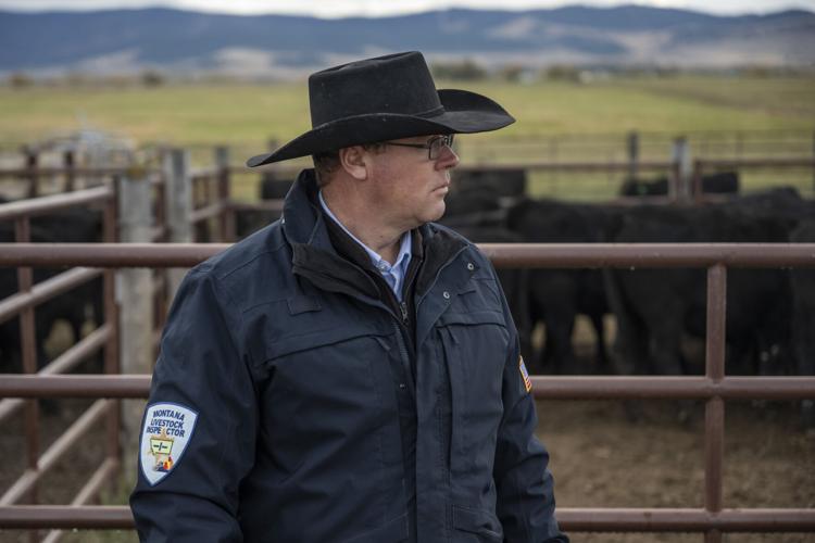 Yellowstone Livestock 13