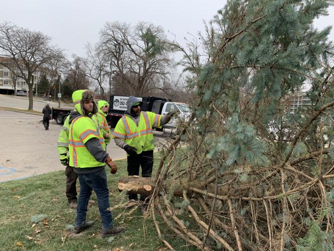 Crews discuss how to get the tree into the pavilion
