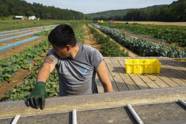 Heat Farmworkers Exposure
