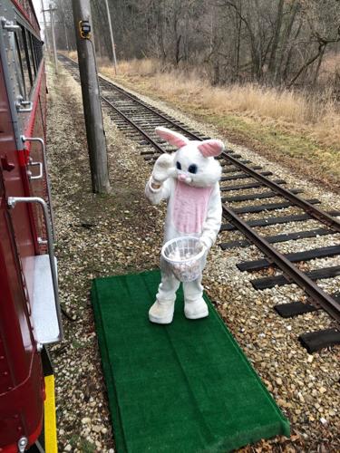 Bunny Train