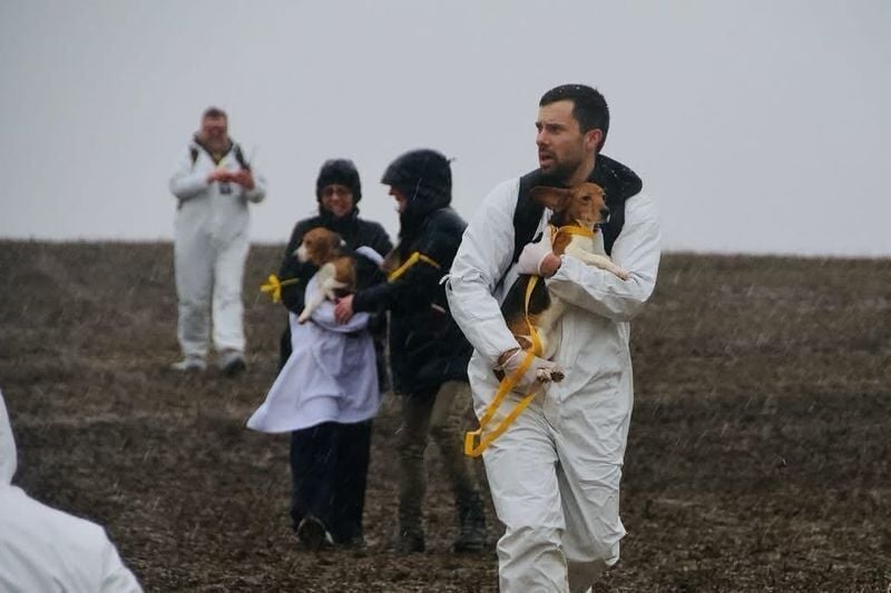 Animal rights activists break into Ridglan Farms, a facility in Blue Mounds, Wisconsin that breeds beagles for medical and scientific research, on Sunday, March 15, 2026.
