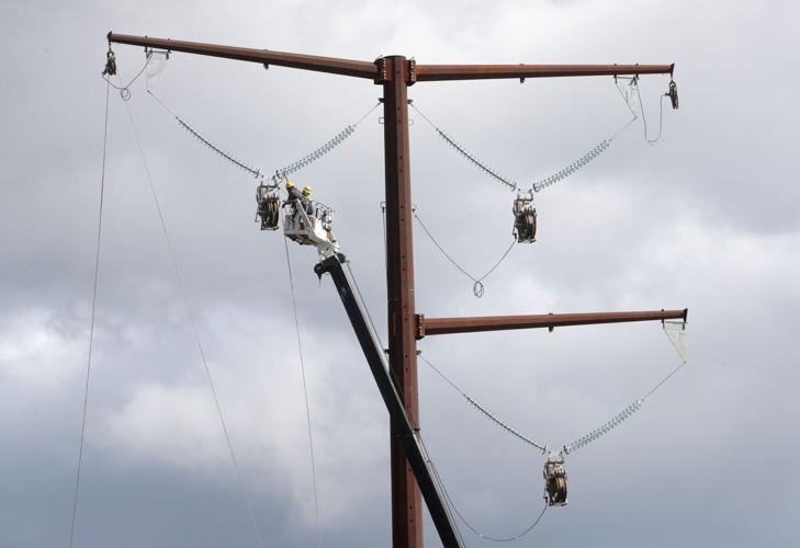 cardinal hickory creek