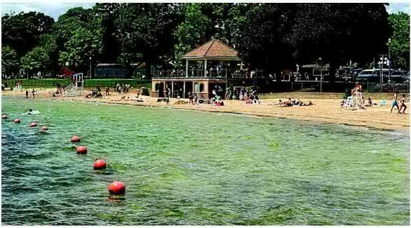 Beach pass donation to YMCA OK'd by council