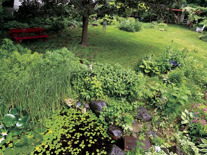 The view from the deck