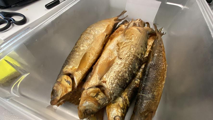 Red Cliff Fish Company