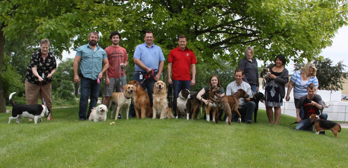 Douglas Stewart display