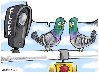 Flock You Toon