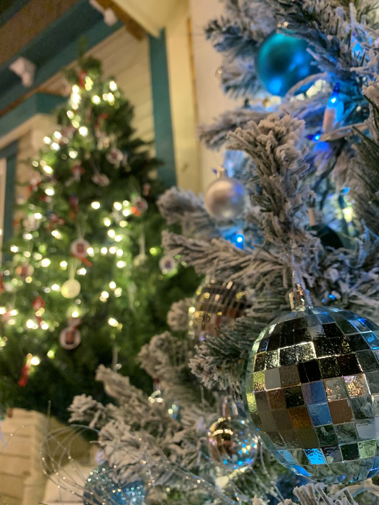 Parade of Trees