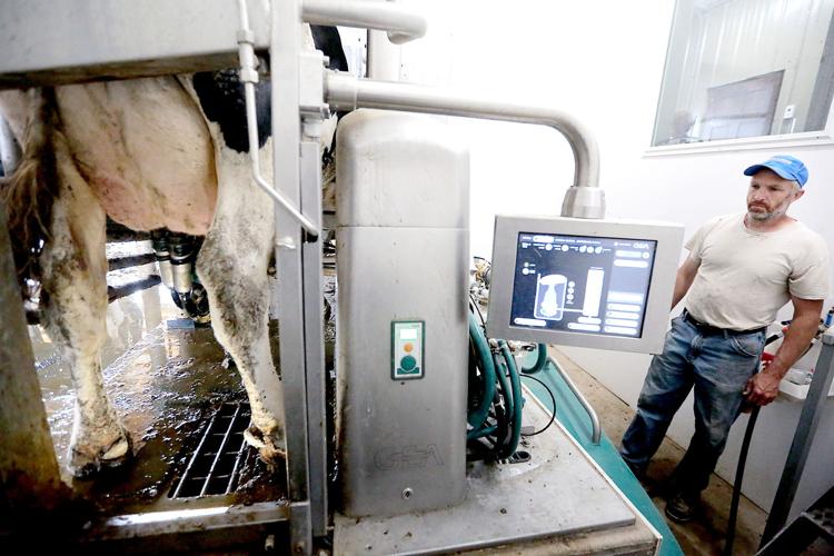 Robotic system replaces need for low-skilled human workers