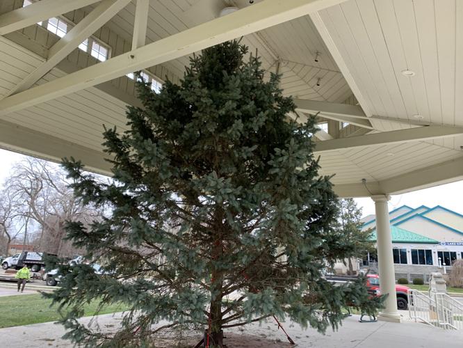 The tree is installed and ready to be decorated