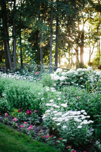 Black Point gardens
