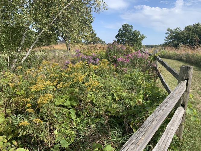 Lake Geneva's Four Seasons Nature Preserve
