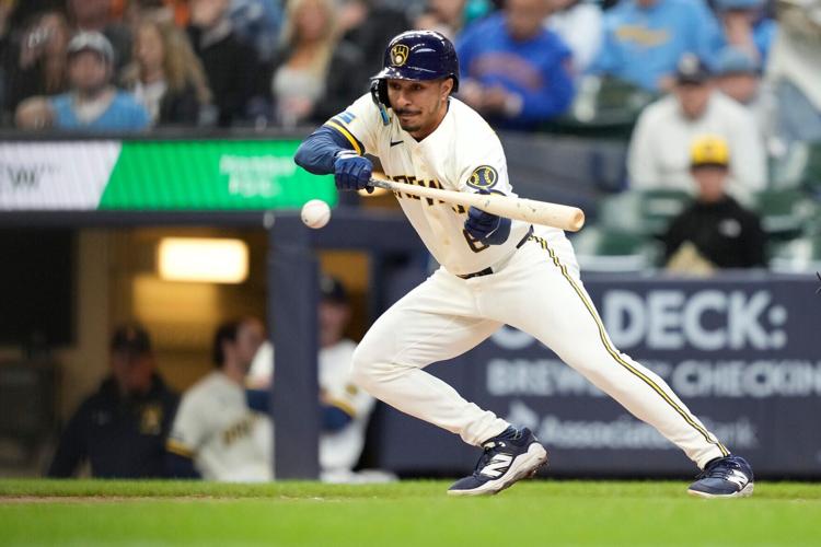 Rays Brewers Baseball