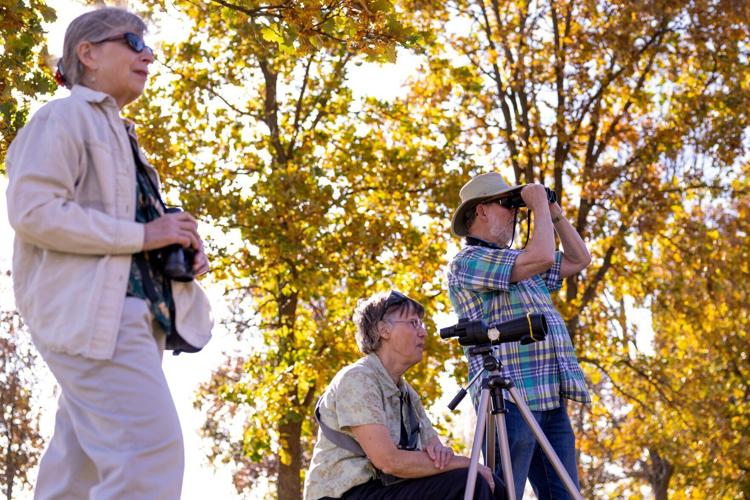 Birders at Governor Nelson