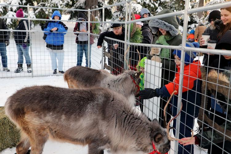 2025 Kenosha County tree lighting