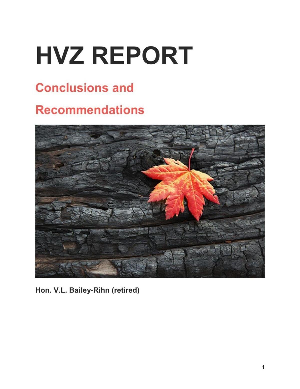 Read the independent investigator's report on the Vilas Zoo