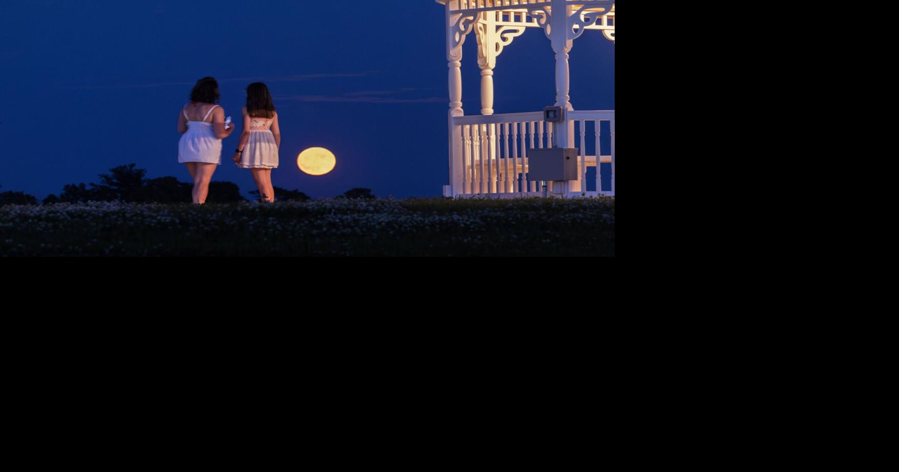 Art of the Everyday: June in photos
