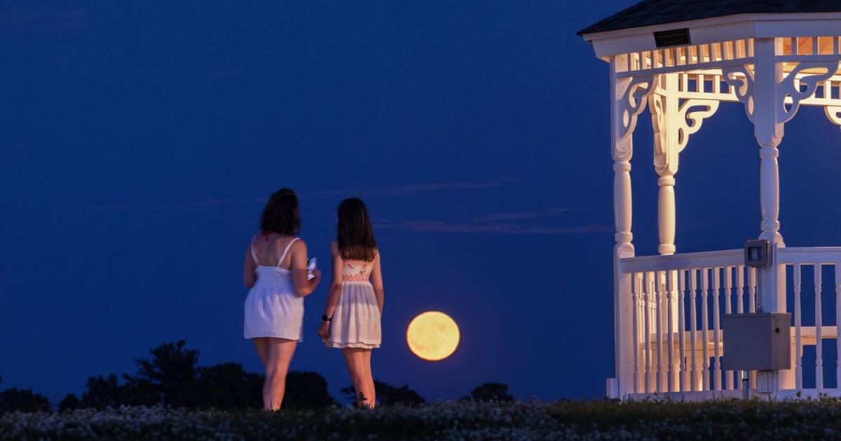 Art of the Everyday: June in photos