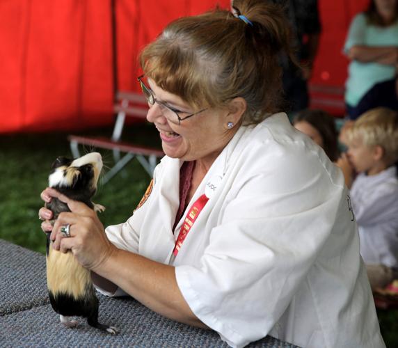 Walworth County Fair 8