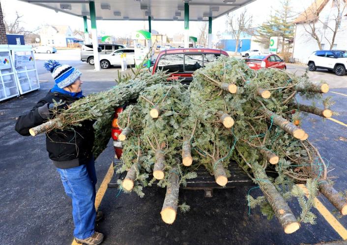Christmas Trees