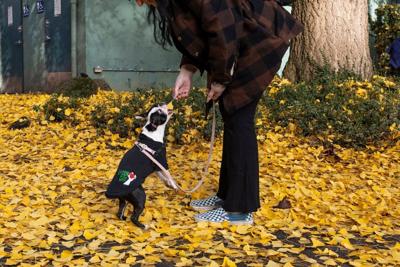 Homeless mothers seek supportive housing, substance use disorder services to break cycle