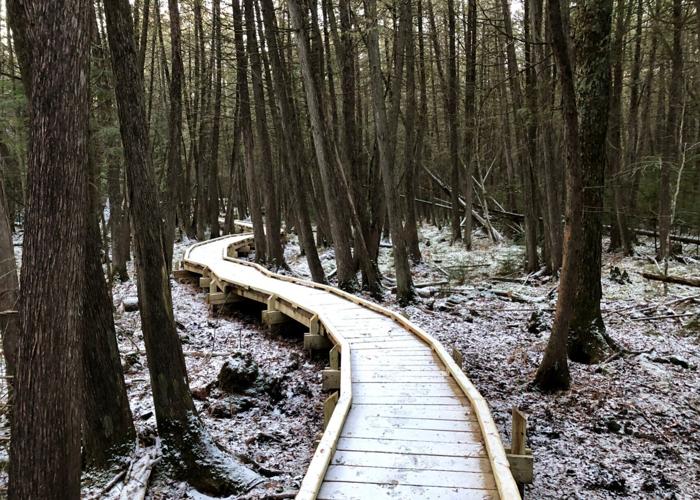 Boardwalk