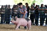 KENOSHA COUNTY FAIR