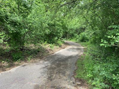 The Hillmoor trails feature several winding paths