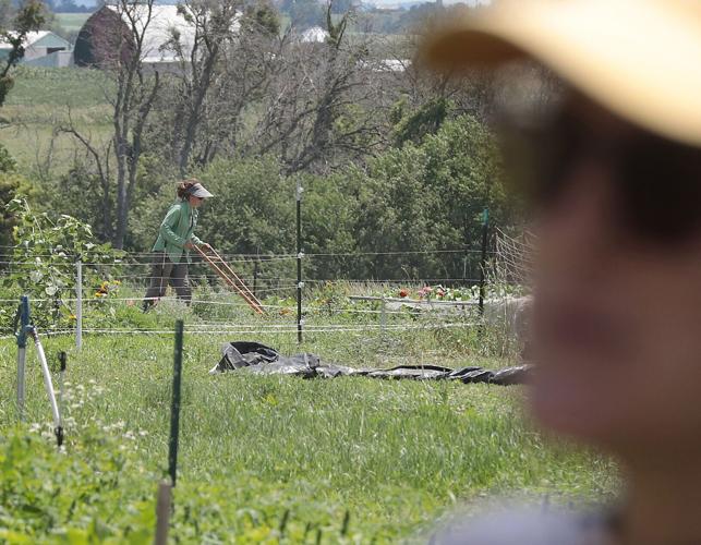 Dominican Sisters of Sinsinawa