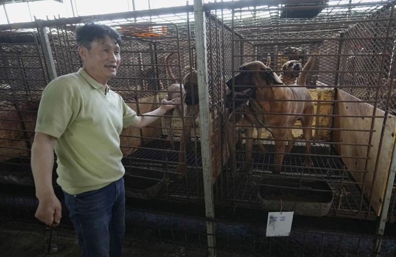 South Korea Dog Meat