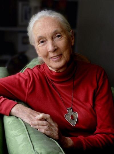 Jane Goodall (copy)
