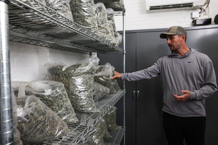 La Crosse Cannabis farm