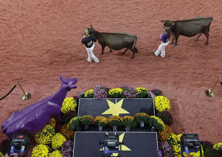 World Dairy Expo 04-09302024141111.jpg