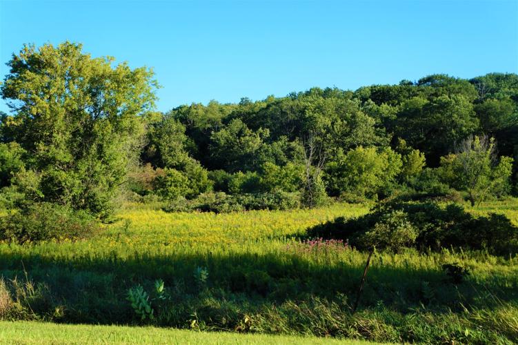 Nature Conservancy area along Rustic Road 85 (Potter Road) in the Town of Spring Prairie