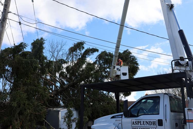 Tree falls on power line after Tuesday's storms