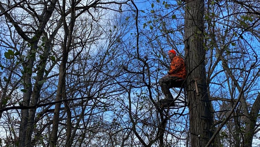 Traditional gun-deer season opens