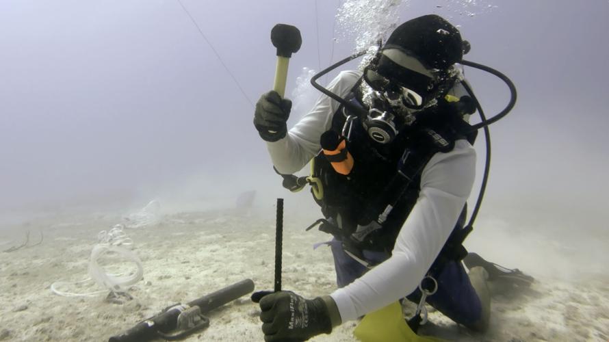 Coral Rescue
