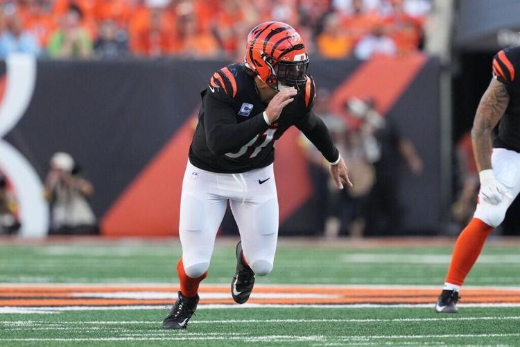 Lions Bengals Football