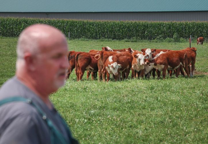 Wisconsin veterinary shortage