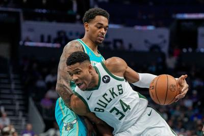 Bucks Hornets Basketball