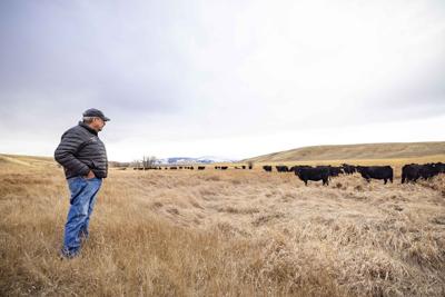 Is John Dutton real? Meet the powerful rancher seemingly inspiring the 'Yellowstone' legend
