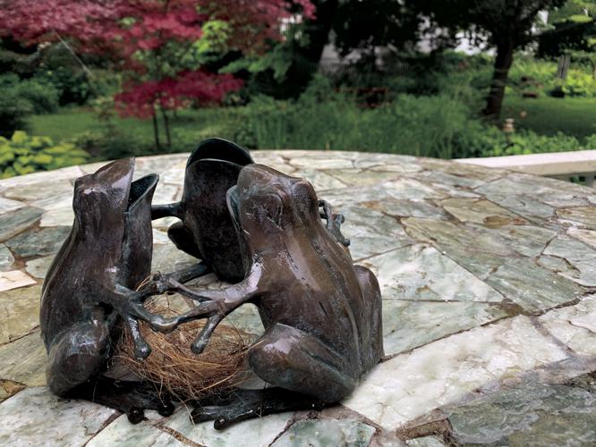 Can you hear the frogs?