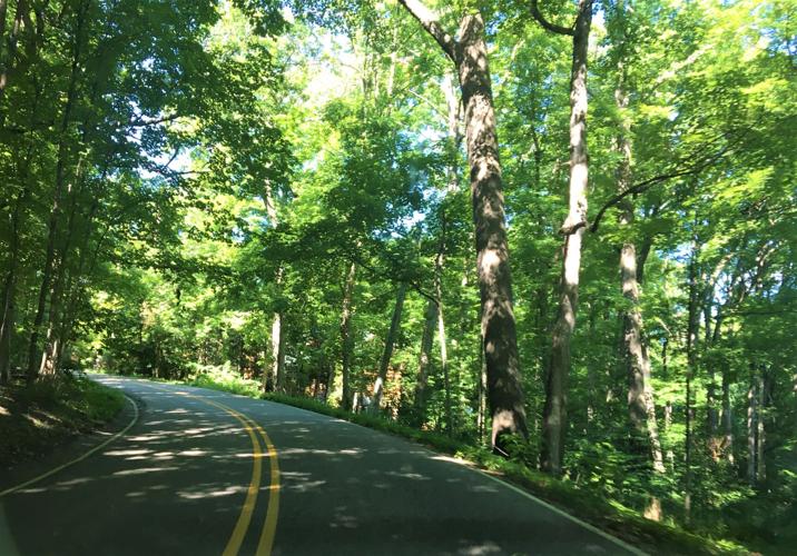 Wooded landscape along Rustic Road 29 on Snake Road between the City of Lake Geneva and the Town of Geneva