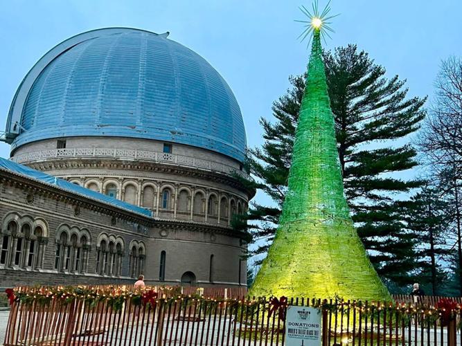 World's Tallest Glass Tree