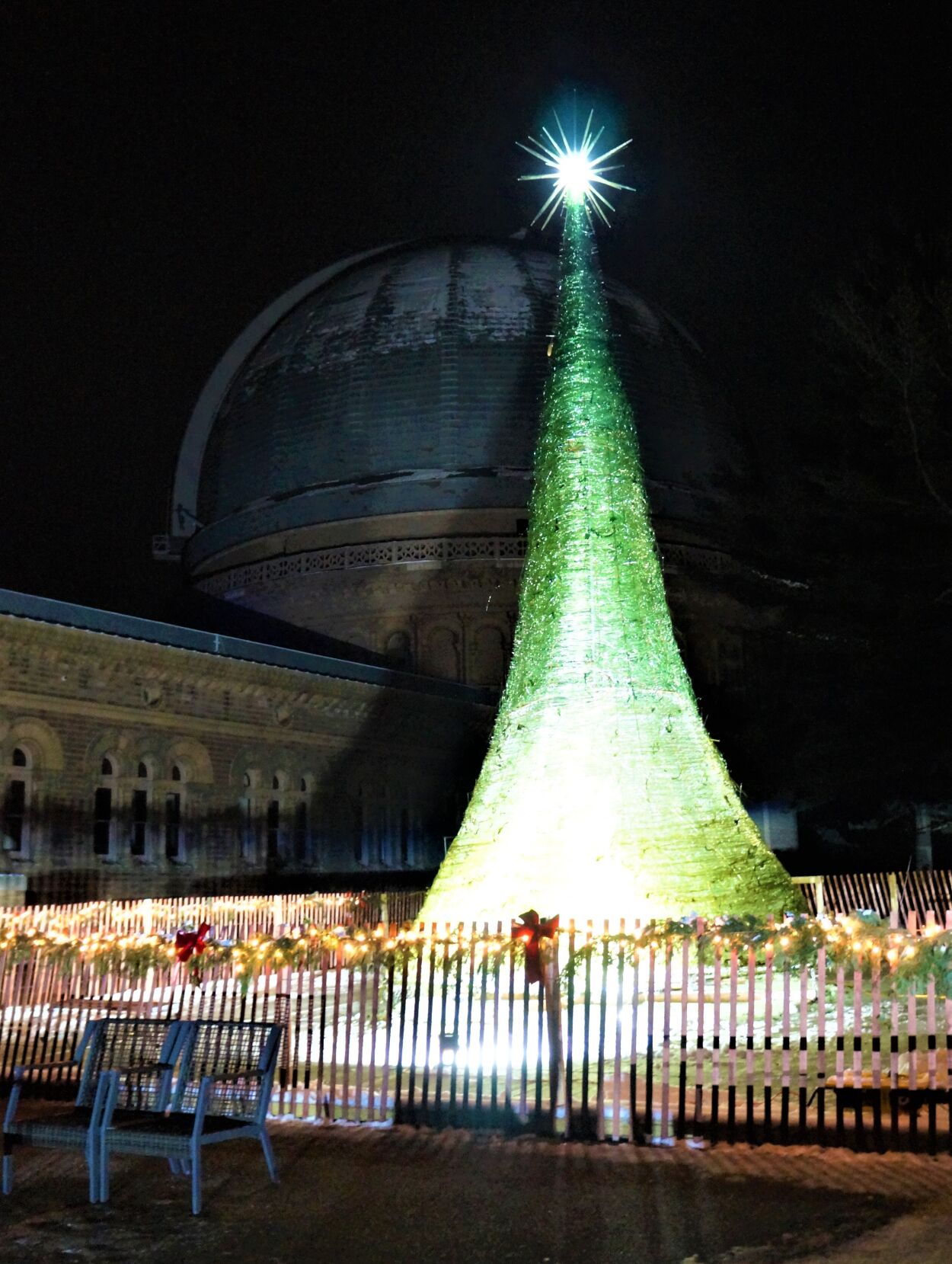 The World's Tallest Glass Tree