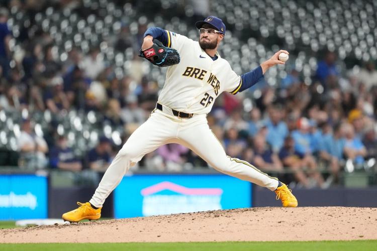 Rays Brewers Baseball