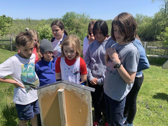 St. Francis de Sales students read a portion of the storybook trail