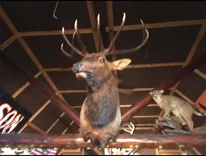 Gooch's A-One Bar & Grill