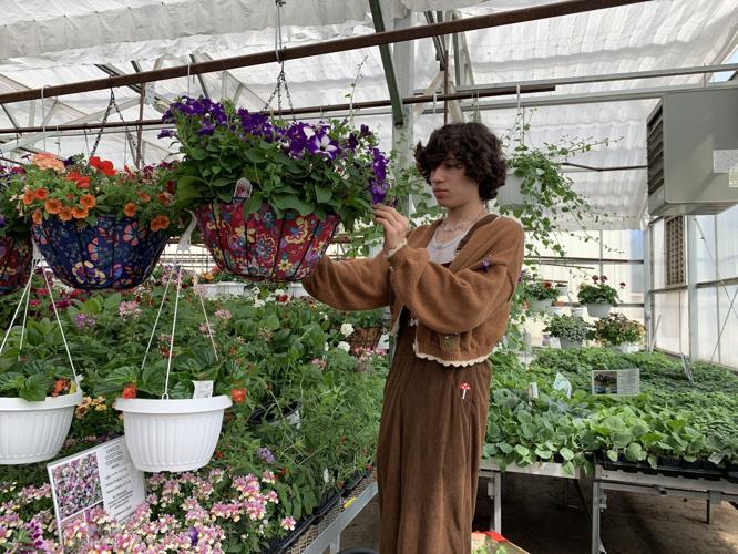 Badger High School agriculture student Mitchell Hernandez manages some hanging plants
